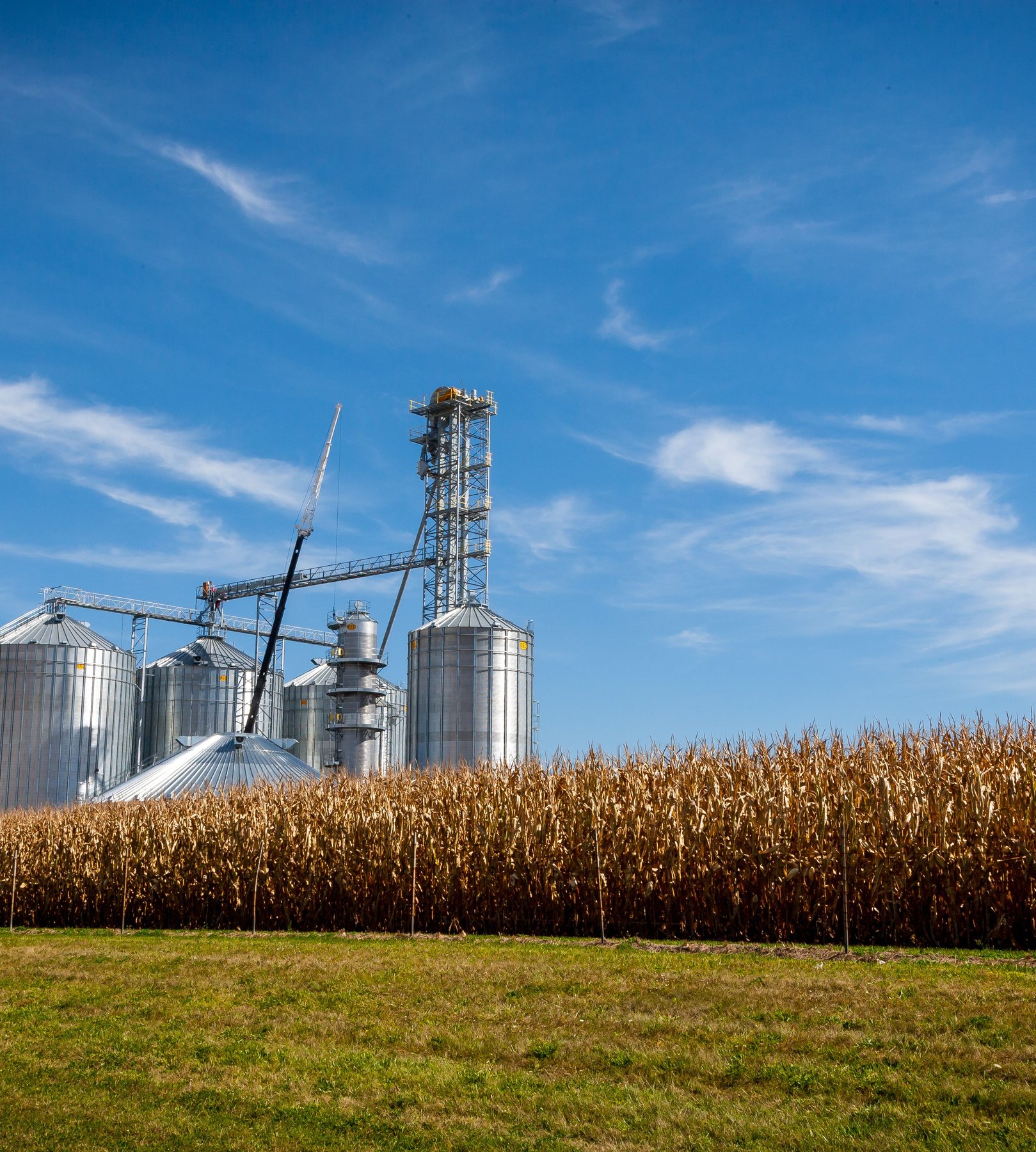 Agriculture