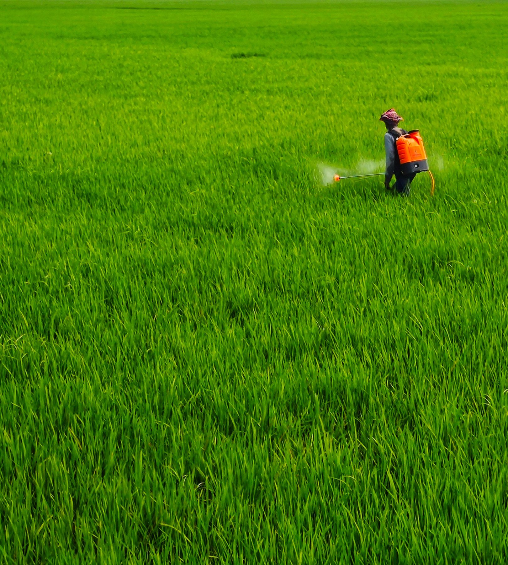 Fertilizers
